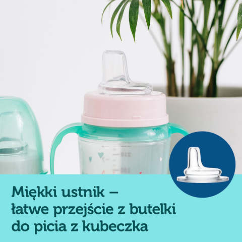 Canpol babies kubek treningowy silikon 120ml PP EasyStart EXOTIC ANIMALS zielony Canpol babies kubek treningowy silikon 120ml PP EasyStart EXOTIC ANIMALS zielony