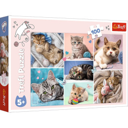 Trefl Puzzle 100 el. | W kocim świecie - puzzle dla dzieci z motywem kotków
