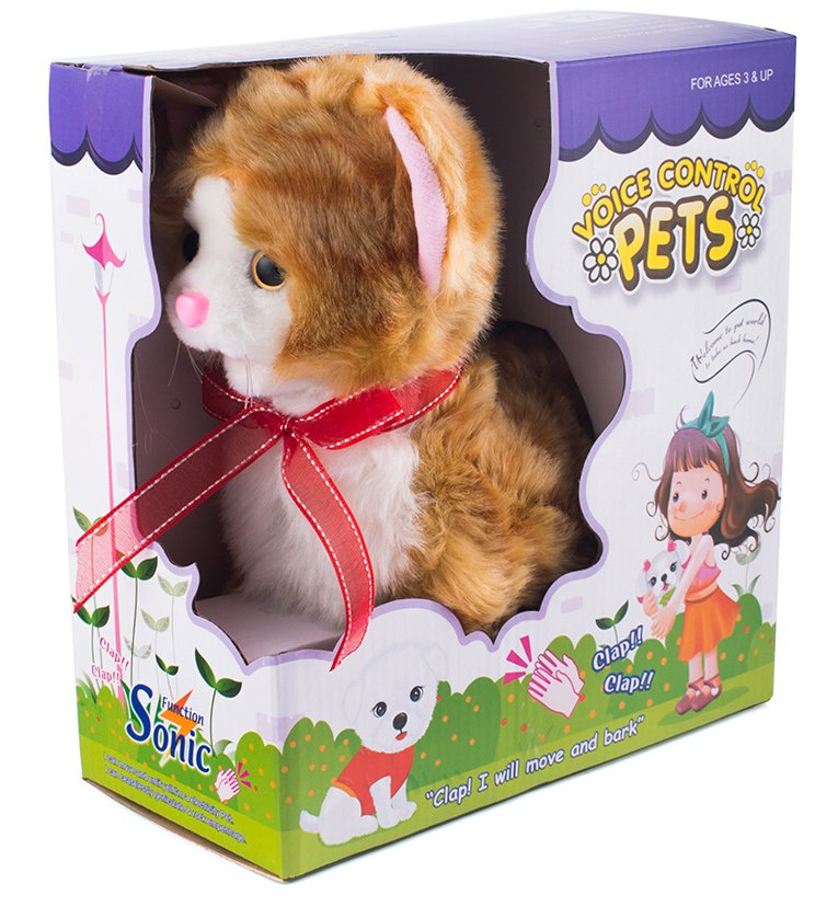 kote na baterie miauczy chodzi kote na baterie miauczy chodzi