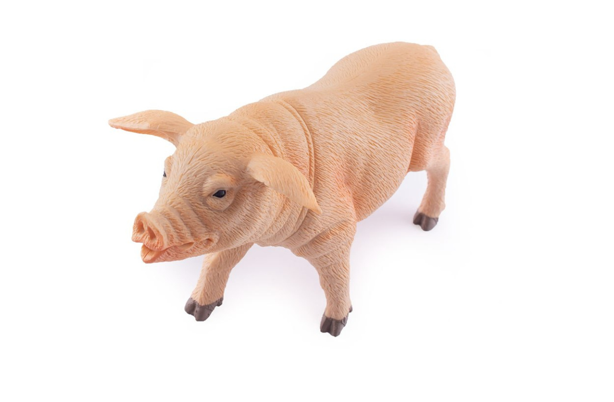 figurka świnka