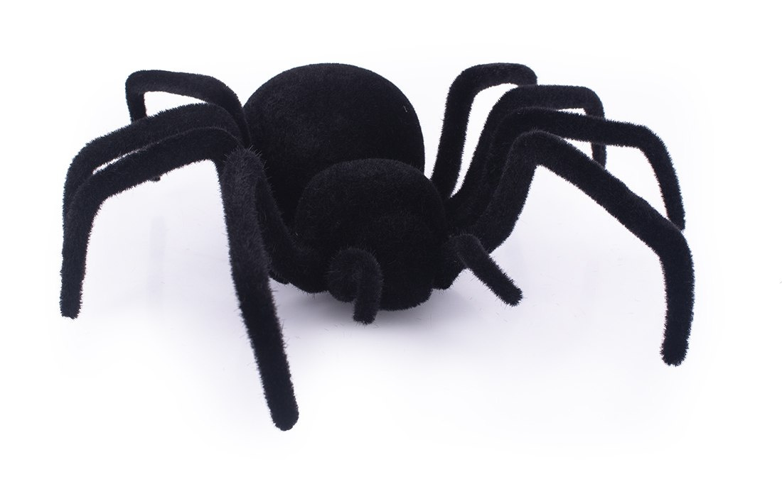 pająk czarna wdowa do zabawy