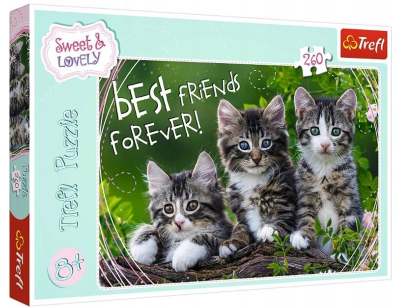 Puzzle urocze kotki 160 elemntów Puzzle urocze kotki 160 elemntów