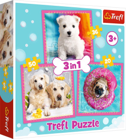 Pieski w kąpieli, puzzle dla dzieci